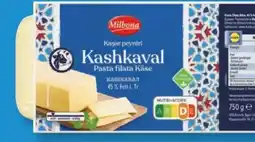 Lidl Milbona Kashkaval Käse Angebot