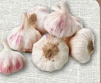 nahkauf Knoblauch Angebot