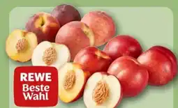 REWE Center Rewe Beste Wahl Gelbfleischige Nektarin Angebot