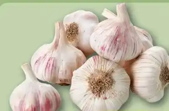 REWE Center Knoblauch Angebot