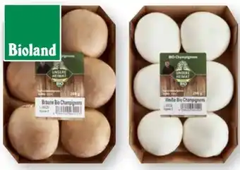 Scheck-in-Center Unsere Heimat Echt & Gut Bio-Champignons Angebot