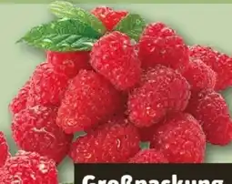 REWE Center Himbeeren Angebot