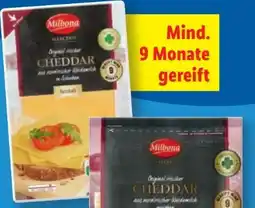 Lidl Milbona Irischer Cheddar Angebot