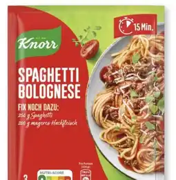 Scheck-in-Center Knorr Fix Angebot