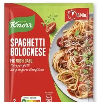 Scheck-in-Center Knorr Fix Angebot