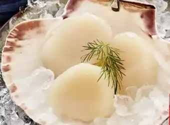 Edeka Kammmuschelfleisch Angebot