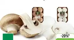 Edeka Unsere Heimat Echt & Gut Bio-Champignons Angebot