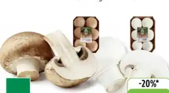 Edeka Unsere Heimat Echt & Gut Bio-Champignons Angebot