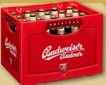 REWE Center Budweiser Budvar (CZ) Czech Premium Lager Angebot