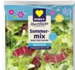 Scheck-in-Center Edeka Herzstücke Sommermix Angebot