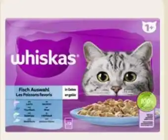 Edeka Whiskas Katzennahrung Angebot