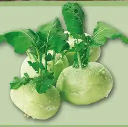 REWE Center Kohlrabi Angebot