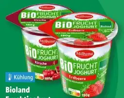 Lidl Milbona Bio-Fruchtjoghurt Angebot