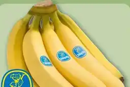 REWE Center Chiquita Bananen Angebot