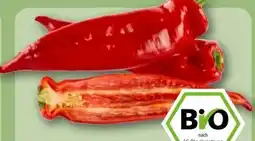REWE Center Rewe Bio Rote Spitzpaprika Angebot