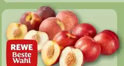REWE Rewe Beste Wahl Nektarinen gelbfleischig Angebot