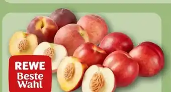 REWE Rewe Beste Wahl Nektarinen gelbfleischig Angebot