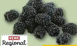 REWE Rewe Regional Brombeeren Angebot