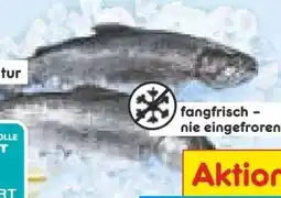 Netto Marken-Discount Regenbogen-Forelle Angebot