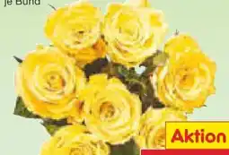Netto Marken-Discount Hochlandrosen Angebot