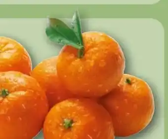REWE Rewe Beste Wahl Clementinen Angebot