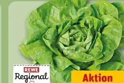 REWE Rewe Regional Kopfsalat Angebot