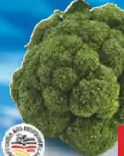 Netto Marken-Discount Heimat Broccoli Angebot