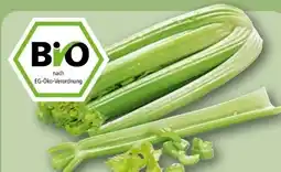 REWE Rewe Bio Staudensellerie Angebot