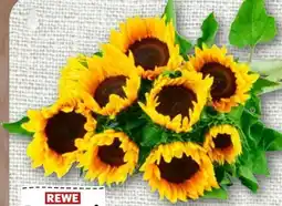 nahkauf Rewe Regional Sonnenblumen Angebot
