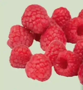 Edeka Xpress Himbeeren Angebot
