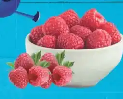 E-Center Himbeeren Angebot