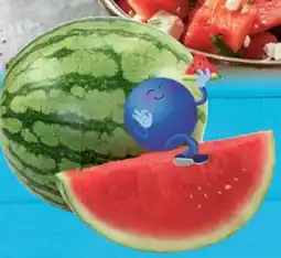 E-Center Wassermelone Angebot
