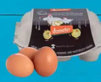E-Center Bio Eier Angebot