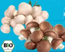 E-Center Bio-Champignons Angebot
