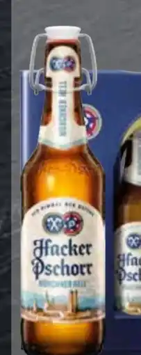 Edeka Hacker-Pschorr Bier Angebot