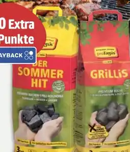 E-Center proFagus Holzkohlebriketts Grillis Angebot