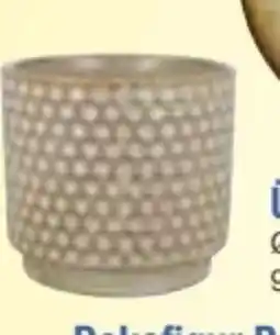 E-Center Übertöpf Angebot