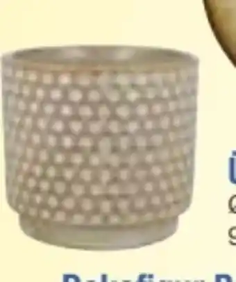 E-Center Übertöpf Angebot