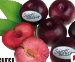 Edeka SanLucar Pflaumen Angebot