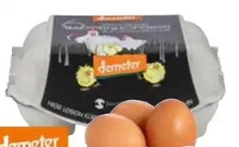 Edeka Bio Eier Angebot