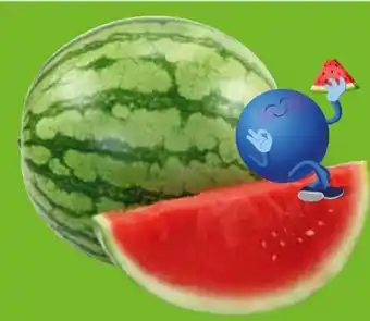 Edeka Wassermelone Angebot