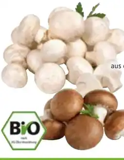 Edeka Bio-Champignons Angebot
