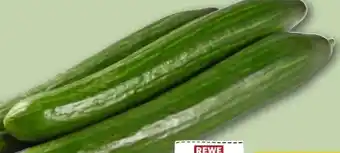 REWE Center Rewe Regional Salatgurke Angebot