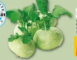 REWE Center Rewe Regional Kohlrabi Angebot