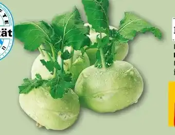 REWE Center Rewe Regional Kohlrabi Angebot