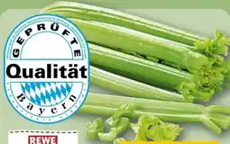 REWE Rewe Regional Staudensellerie Angebot