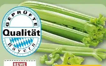 REWE Rewe Regional Staudensellerie Angebot