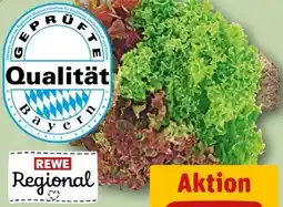 REWE Rewe Regional Wurzelsalate Salattrio Angebot