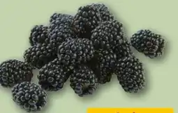 REWE Brombeeren Angebot