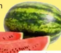 Edeka Frischemarkt Wassermelone XXL Angebot